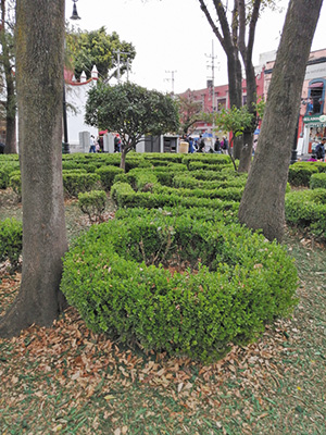 Jardín principal de Coyoacán