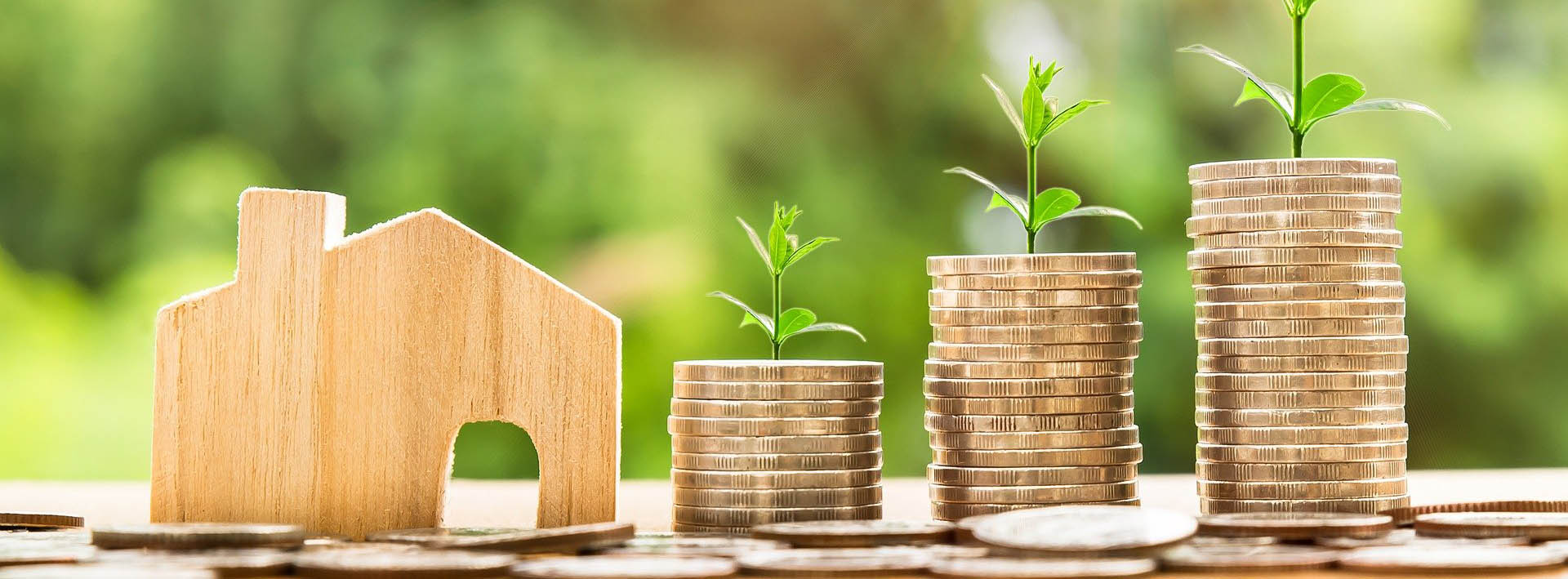 Imagen portada Economía