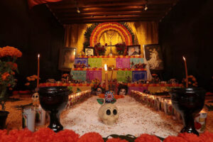 15º Festival Día de Muertos en San Juan del Río