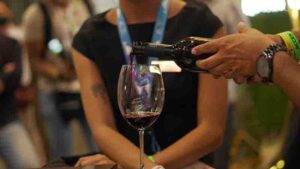 El sector vitivinícola se consolida como motor de movilidad económica en Querétaro