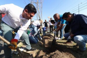 En equipo con las empresas, municipio de San Juan del Río reforesta camellón de avenida México