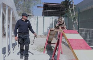 Embajada de EUA dona equipamiento a la Unidad Canina de POES
