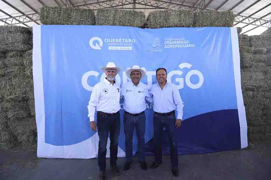 SEDEA apoya con pacas de forraje a ovinocultores y caprinocultores