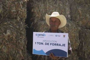 Entrega SEDEA forraje a ganaderos de San Joaquín