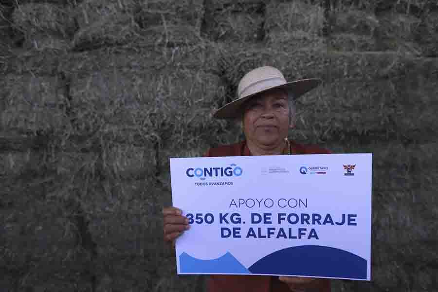 SEDEA apoya con pacas de forraje a ovinocultores y caprinocultores