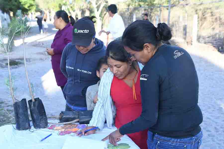 El gobierno municipal de Ezequiel Montes, plantó 300 árboles en “El Coyote”