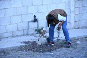 El gobierno municipal de Ezequiel Montes, plantó 300 árboles en “El Coyote”