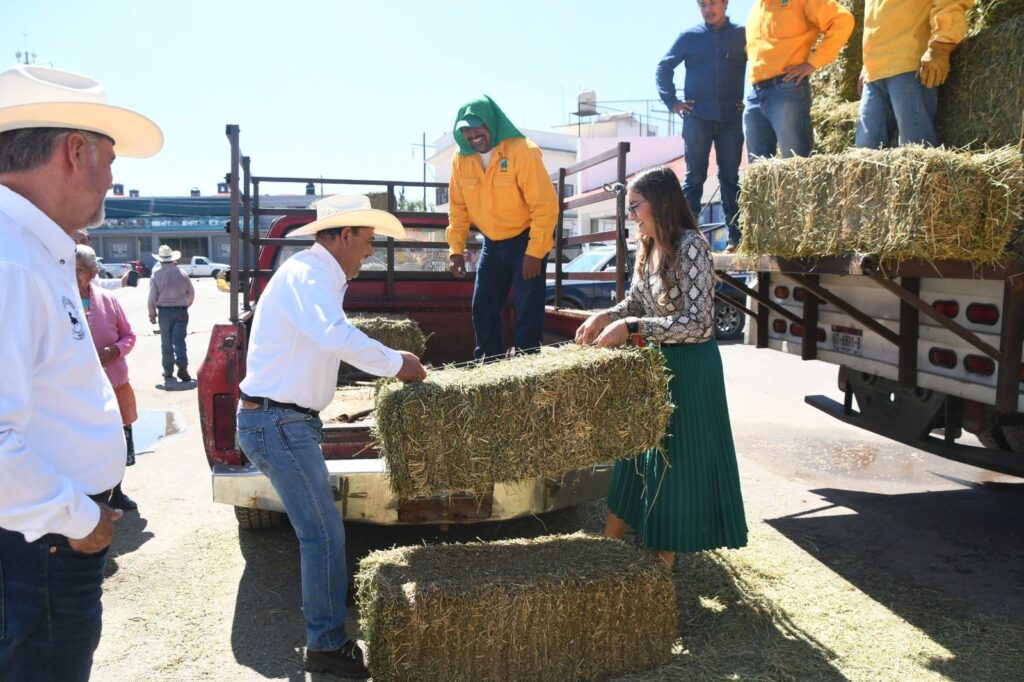 Lupita Pérez Montes entrega apoyo a productores de bajos recursos de su municipio