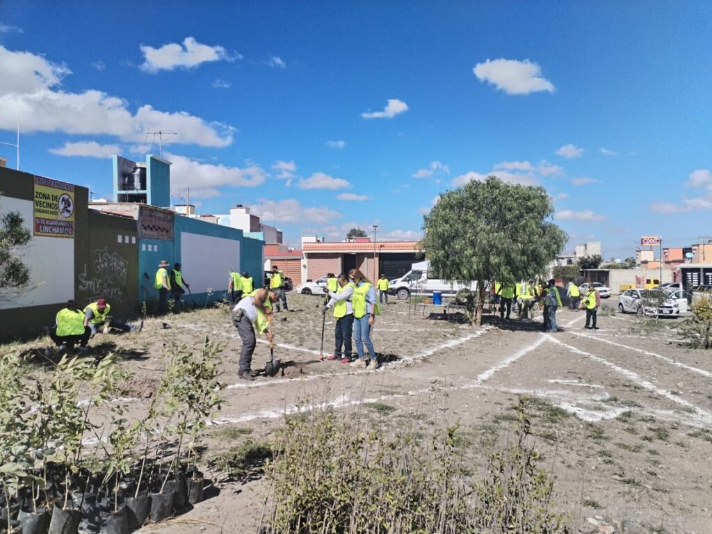 Gobierno Municipal e iniciativa privada realizan acciones de reforestación en El Capricho