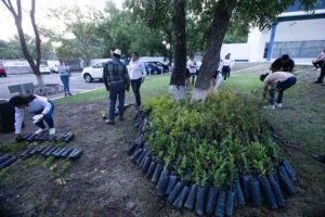 Roberto Cabrera entrega árboles a las y los delegados juveniles de San Juan del Río