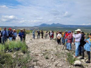 Realizan jornada de reforestación con sotol en El Sombrerete Cadereyta