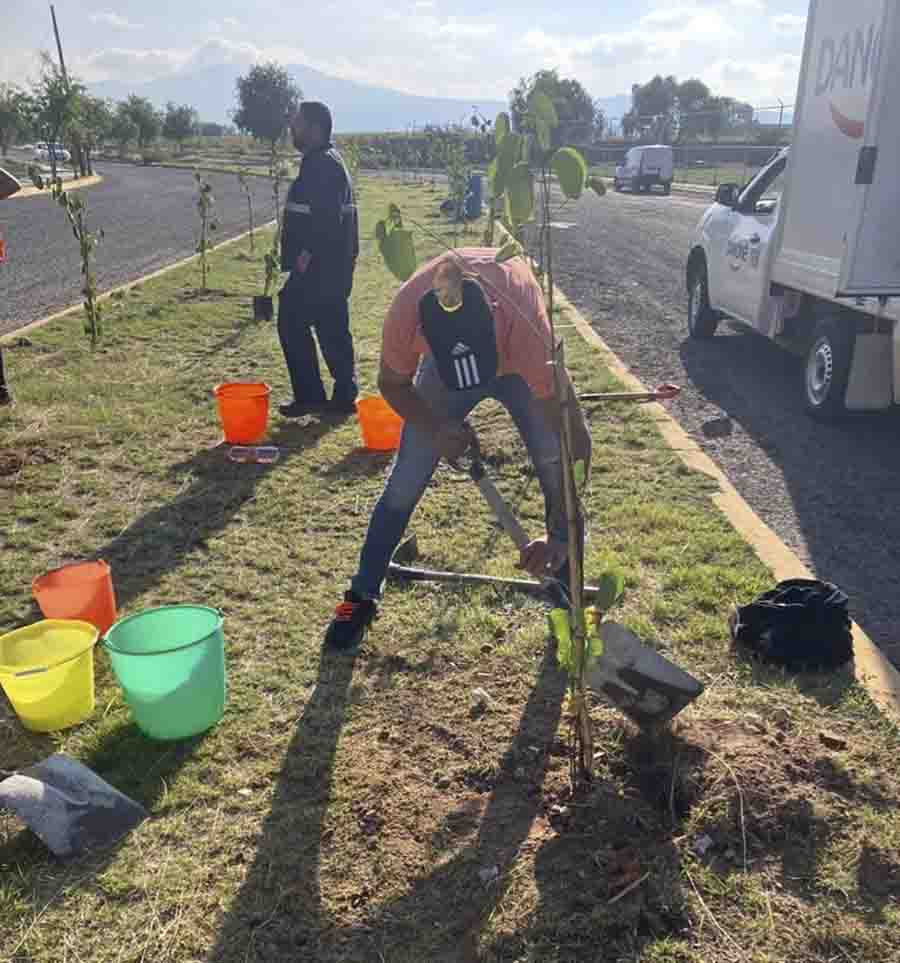 Juntos por un Futuro Sustentable: Programa Adopta un Camellón en San Juan del Río