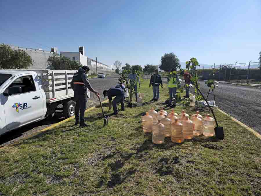 Juntos por un Futuro Sustentable: Programa Adopta un Camellón en San Juan del Río