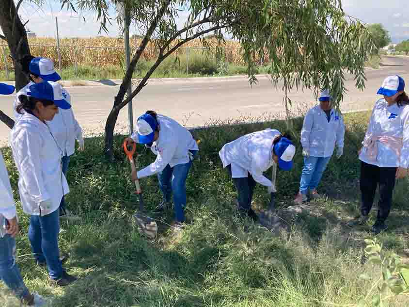 Municipio de San Juan del Río realiza acciones a favor del medio ambiente en equipo con empresas