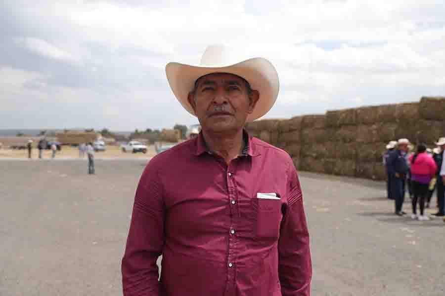 Apoya SEDEA con forraje a ganaderos de Colón y El Marqués