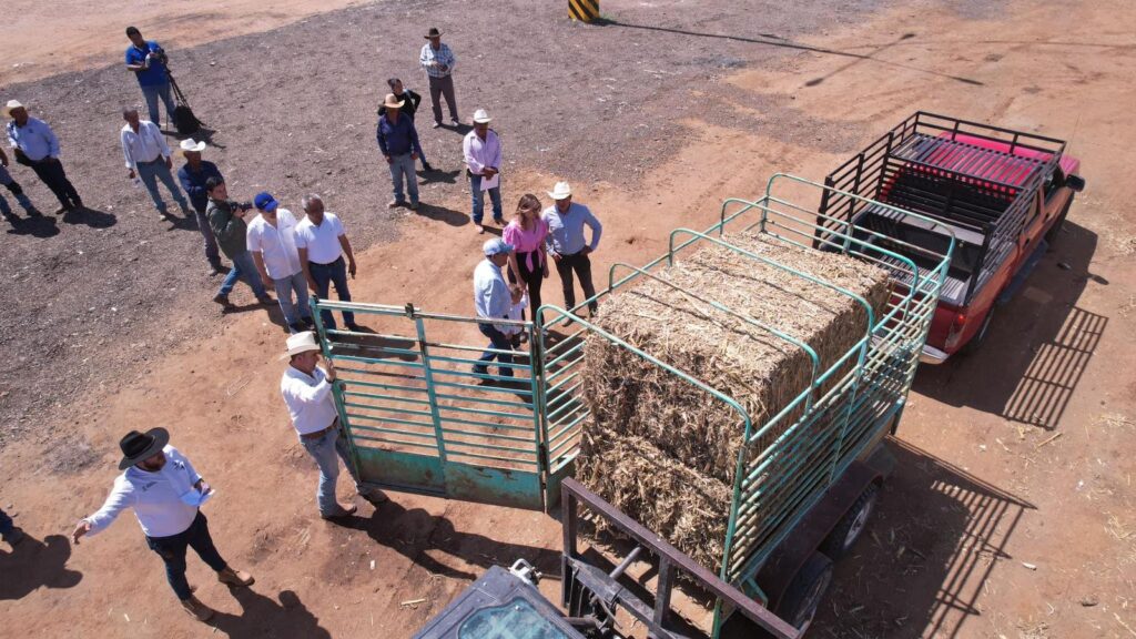 Lupita Pérez Montes entrega Forraje a Ganaderos del municipio de Ezequiel Montes, afectados por la sequía.