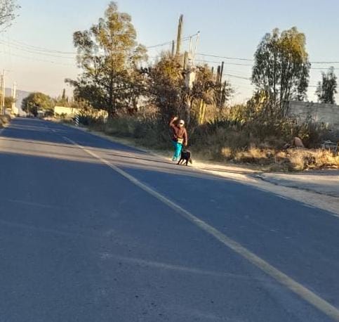 Persiste Riesgo por Perro Agresivo en Villa Nueva, Cadereyta de Montes, Querétaro.