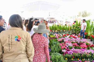 Amealco celebra la 3era edición del Festival de las Flores 2024.