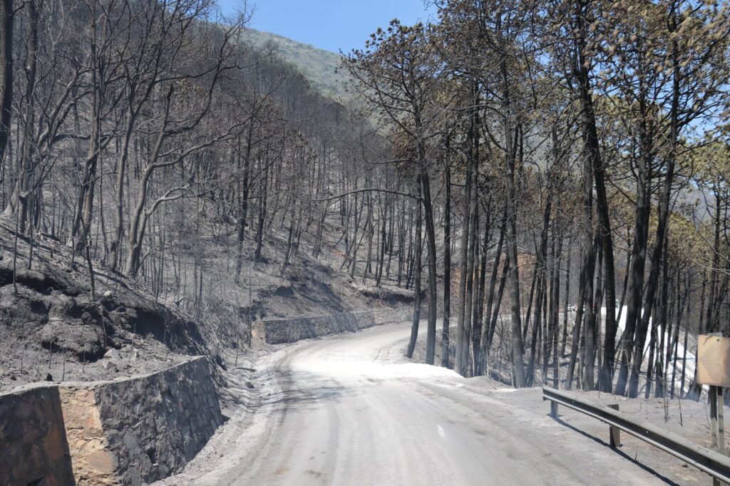 Al 95% sofocación de incendio forestal en Cadereyta reportan autoridades