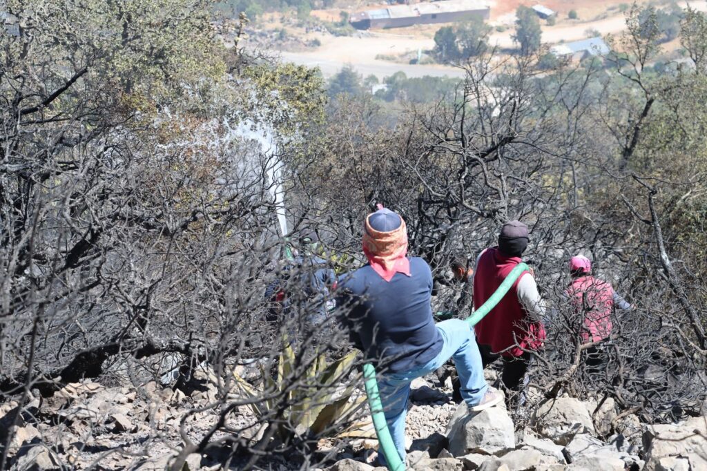 Al 95% sofocación de incendio forestal en Cadereyta reportan autoridades