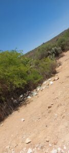Solicitud de ayuda para la gestión de basura en el municipio de Cadereyta de Montes, Querétaro