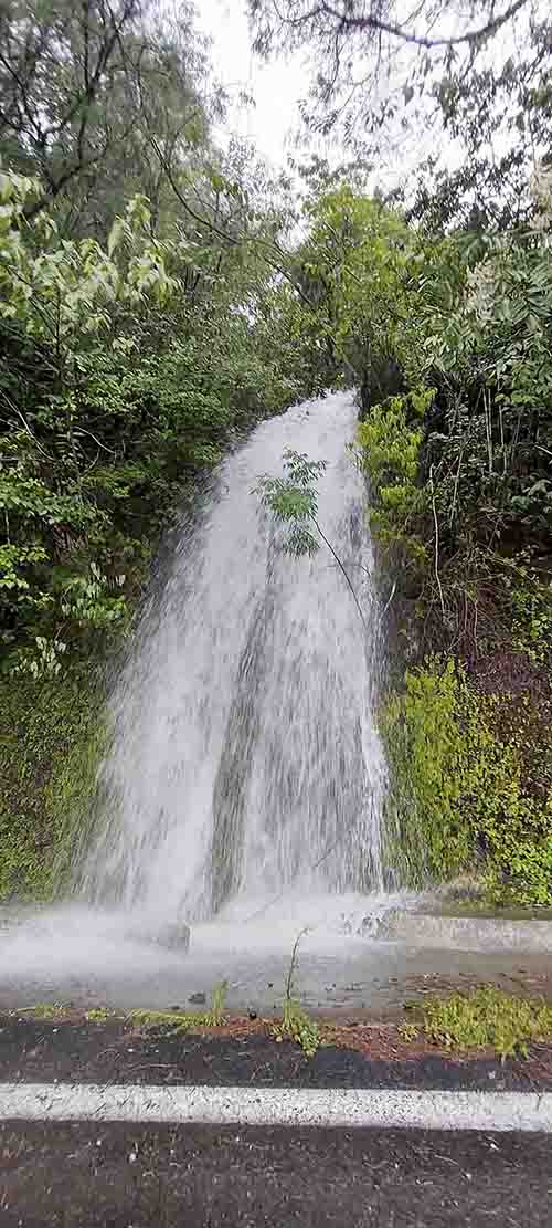 Una reserva natural llena de paisajes exuberantes