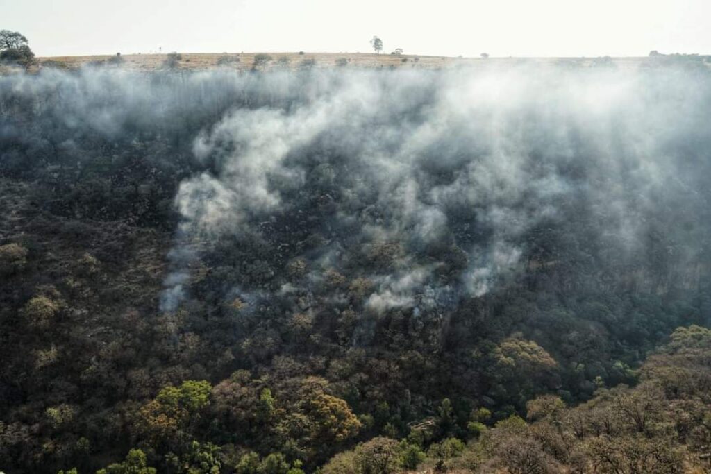 Incendio forestal en San Sebastián de las Barrancas Sur San Juan del Río