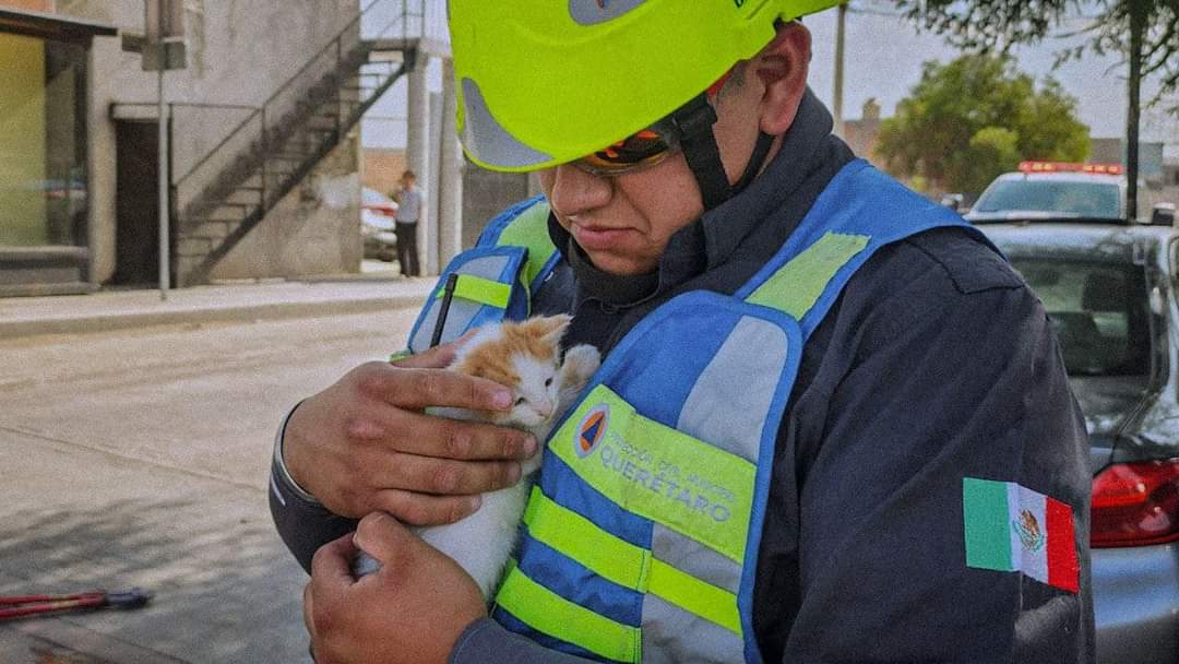 Incendio en predio baldío afecta negocio en Colonia Jurica