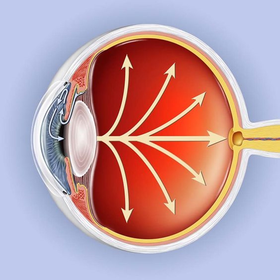 La Secretaría de Salud conmemora el Día Nacional del Glaucoma