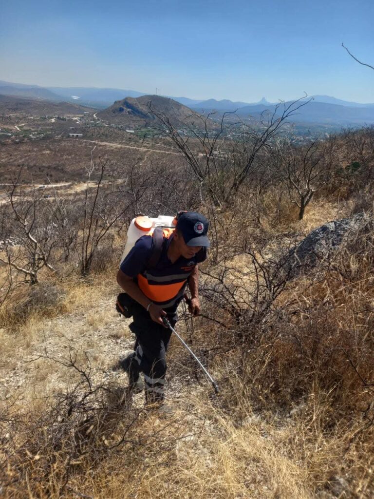 Autoridades atienden incendio en el municipio de Tolimán