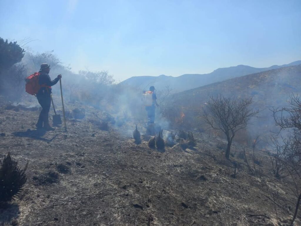 Autoridades atienden incendio en el municipio de Tolimán