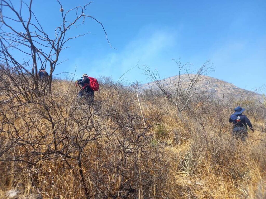 Autoridades atienden incendio en el municipio de Tolimán