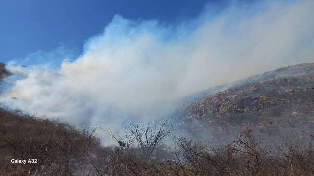 Autoridades atienden incendio en el municipio de Tolimán