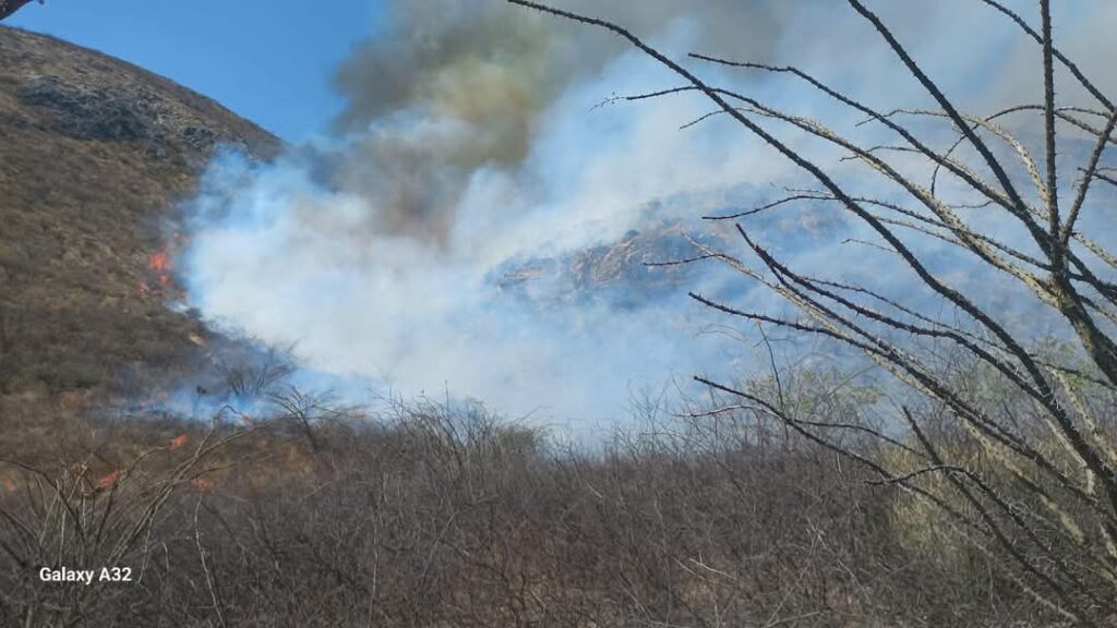 Autoridades atienden incendio en el municipio de Tolimán