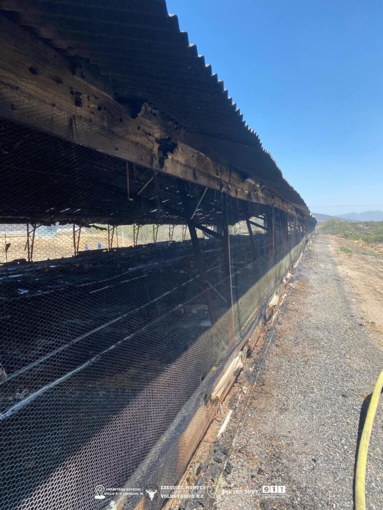 Incendio en establecimiento de Bernal moviliza a Bomberos Voluntarios de Ezequiel Montes