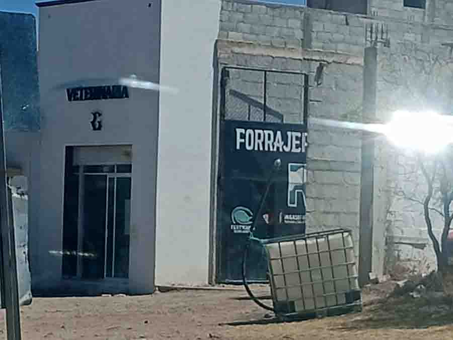 ALERTA SANITARIA EN COLÓN: INTOXICACIÓN MASIVA DE GANADO Y NEGLIGENCIA EMPRESARIAL