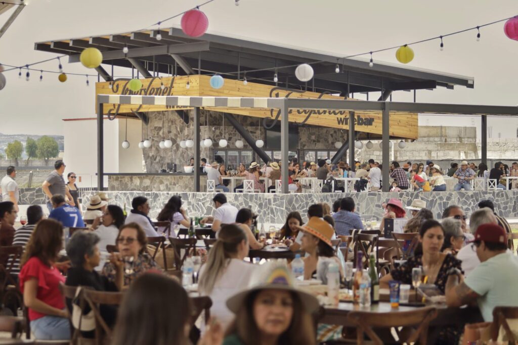 BUBBLES FEST 2025
VIÑEDOS SALA VIVÉ 
