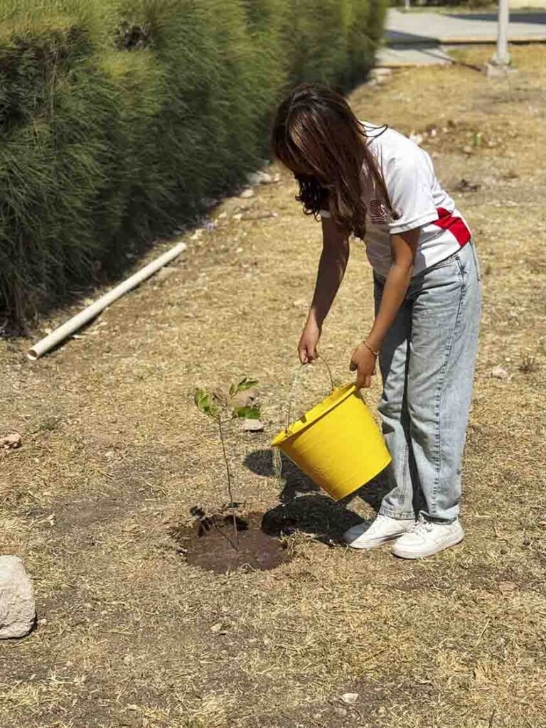 Inicia CEA reforestación por migración de recibos