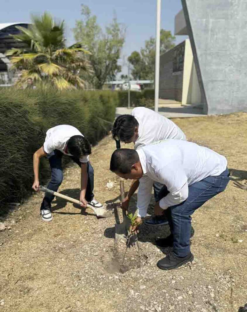 Inicia CEA reforestación por migración de recibos