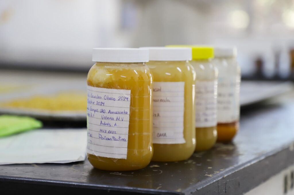 Apiario UAQ: espacio de cuidado, investigación y creación de productos