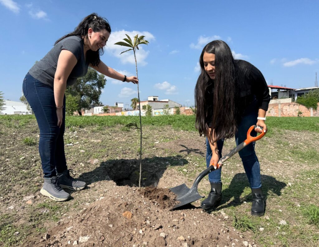 Reforestan UAQ y autoridades municipales el campus San Juan del Río