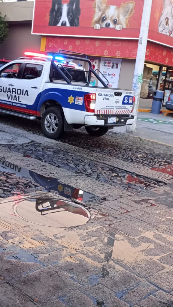 El ladrón de la maleta negra