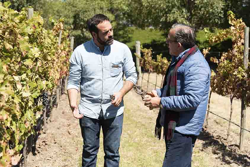 Galardonan a viñedo queretano como Bodega del año 2025