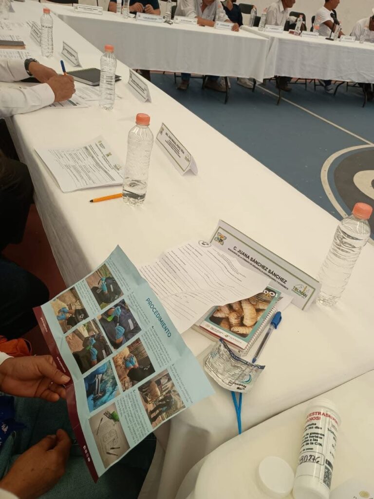 Acciones para Prevenir el Gusano Barrenador en la Producción Ganadera.