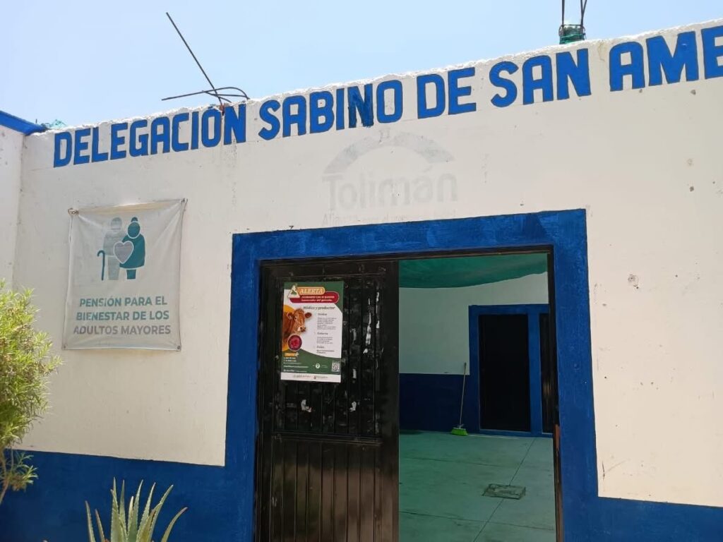 Acciones para prevenir el gusano barrenador en la producción.