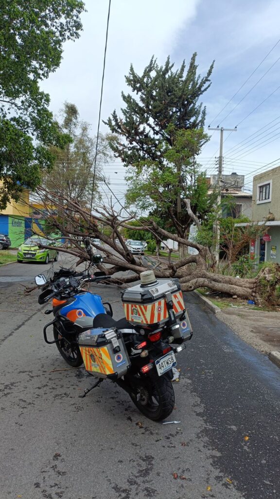 Municipio de Querétaro atiende afectaciones por lluvias