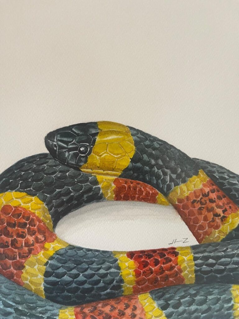 Llega al Museo Histórico de la Sierra Gorda la obra de Lilian Tendilla
