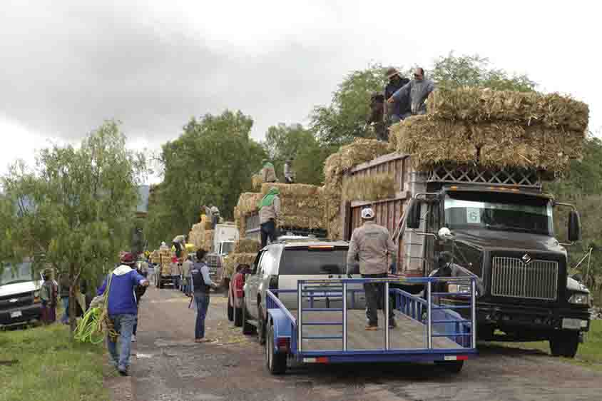 Entrega SEDEA forraje para ganado en Cadereyta