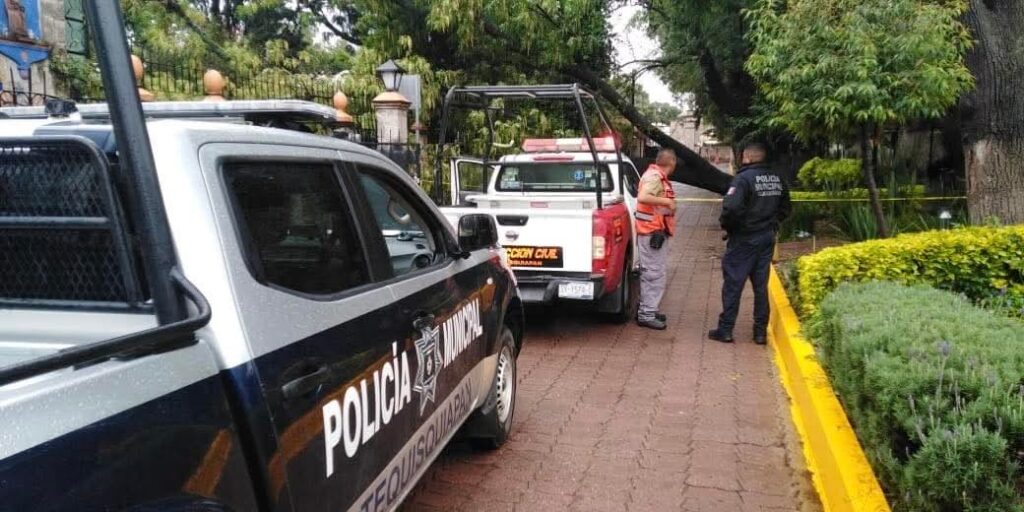 Cierre temporal de vialidad en Jardín del Arte por caída de árbol