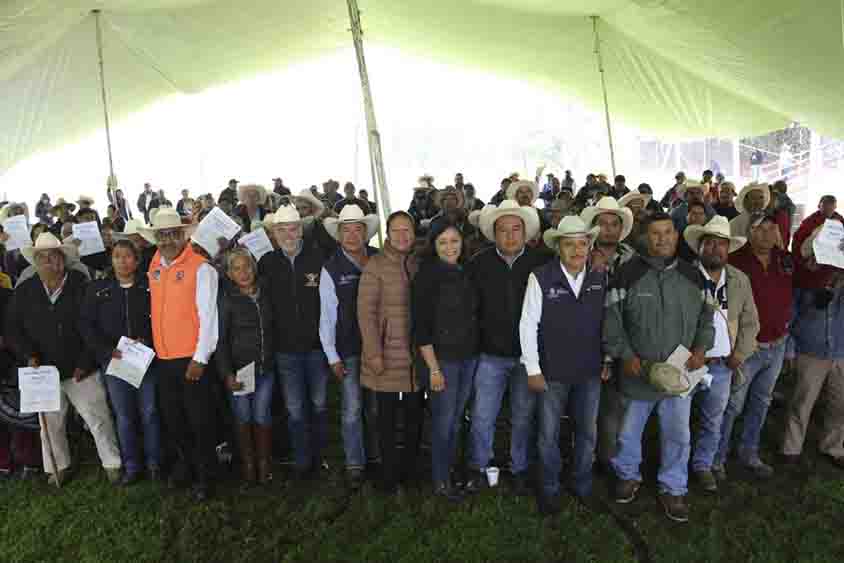 Entrega SEDEA forraje a 260 productores pecuarios en Colón y Tolimán